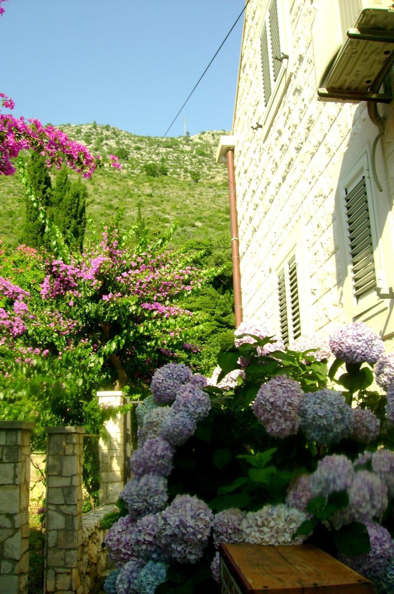 Apartments Capitano Blue Zaton (Dubrovnik-Neretva) Exterior foto